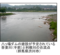 八ッ場ダムの建設が予定されている吾妻川（手前）と利根川の合流点