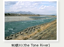 the Tone River